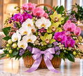Blush Symphony orchid arrangement by Flowers Planet