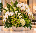 Serene White by Flowers Planet
